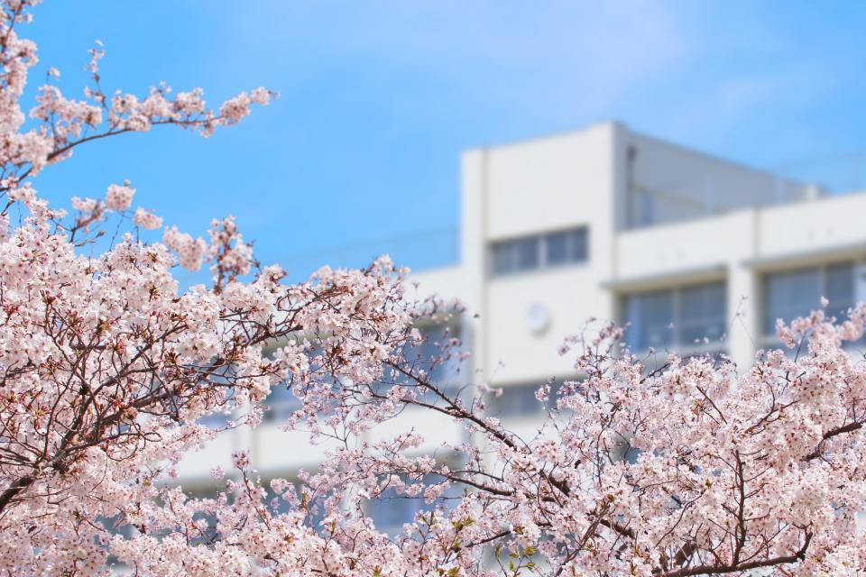 春の学校の外観